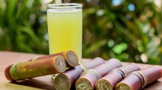 Summer drinks| Sugarcane juice
