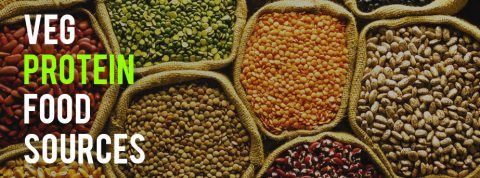 Veg Protein Food cover image