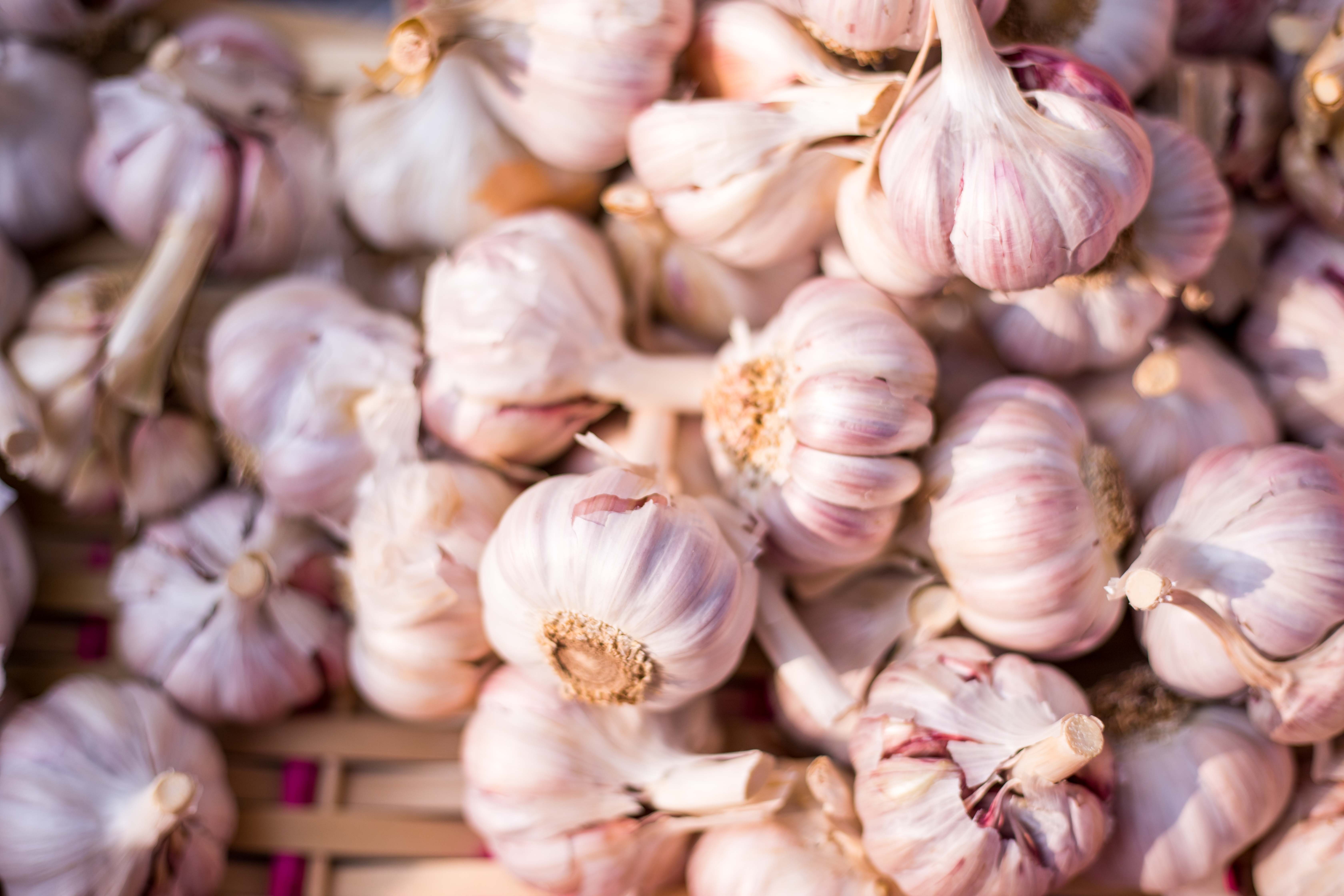 garlic| healthy diet| cholesterol reduction| pectin| garlic consumption