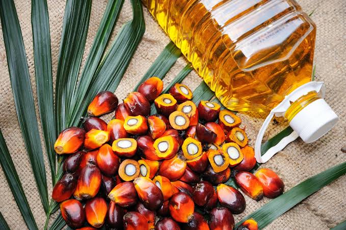 Palm Oil | Benefits | Uses
