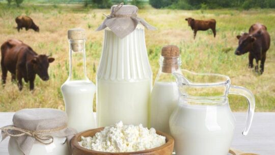 different types of milk and why you should try them| Buffalo milk