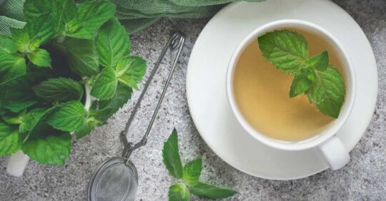 several teas for winter season| Peppermint tea