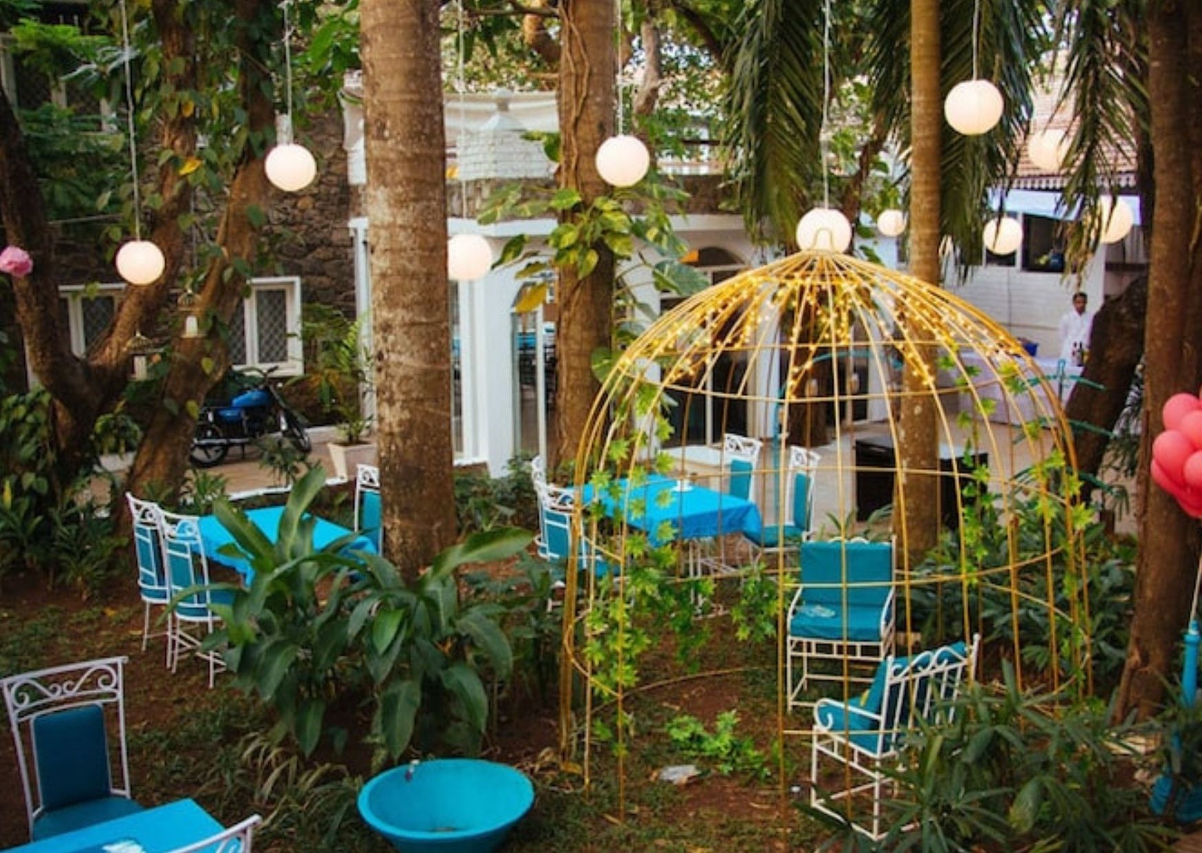Best Cafes in Goa| Cafe Cotinga