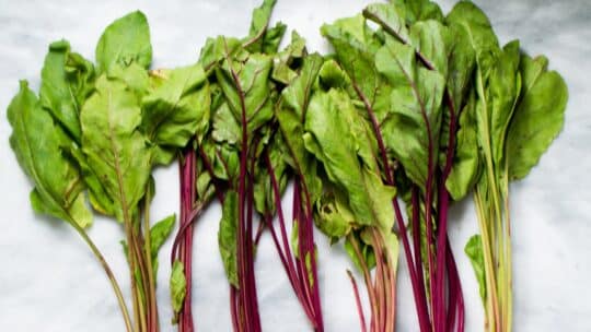 gorgeous leafy greens and their benefits| Beet greens