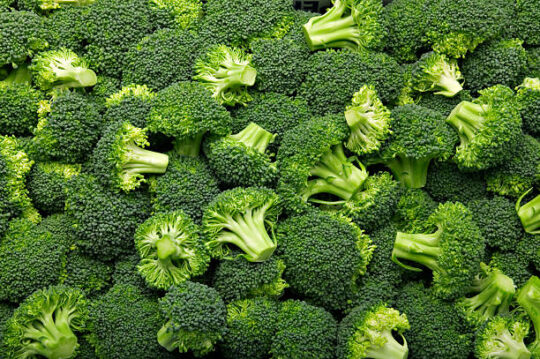 Healthy food stock| Broccoli