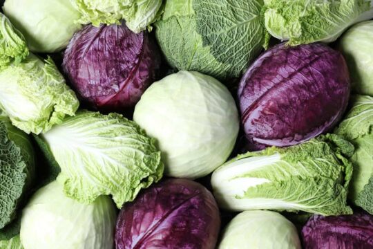 gorgeous leafy greens and their benefits| Cabbage