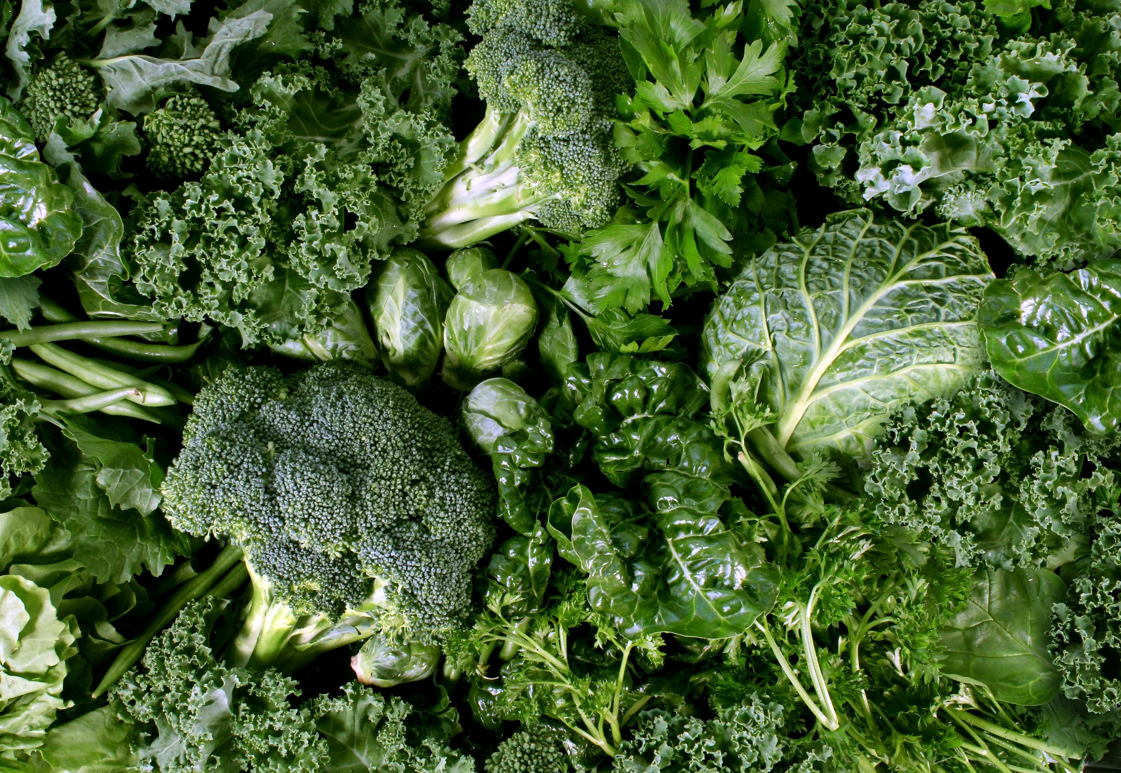 Gorgeous Leafy Greens And Their Benefits - Leafy Green Vegetables