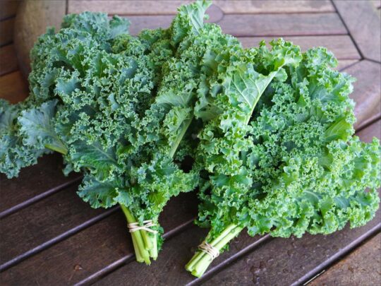 Identify the georgeous leafy greens| Kale
