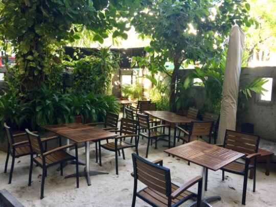 Good Eateries on Island| Seagull cafe
