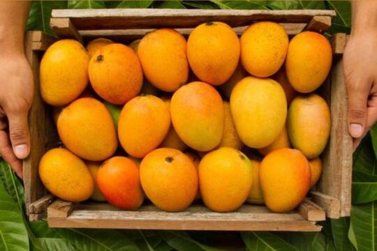 Beat the heat fruits| Mango