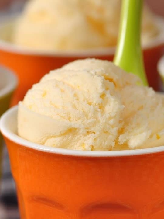 7 Fruit Flavored Ice Creams in Ahmedabad Different Ice Cream Flavors