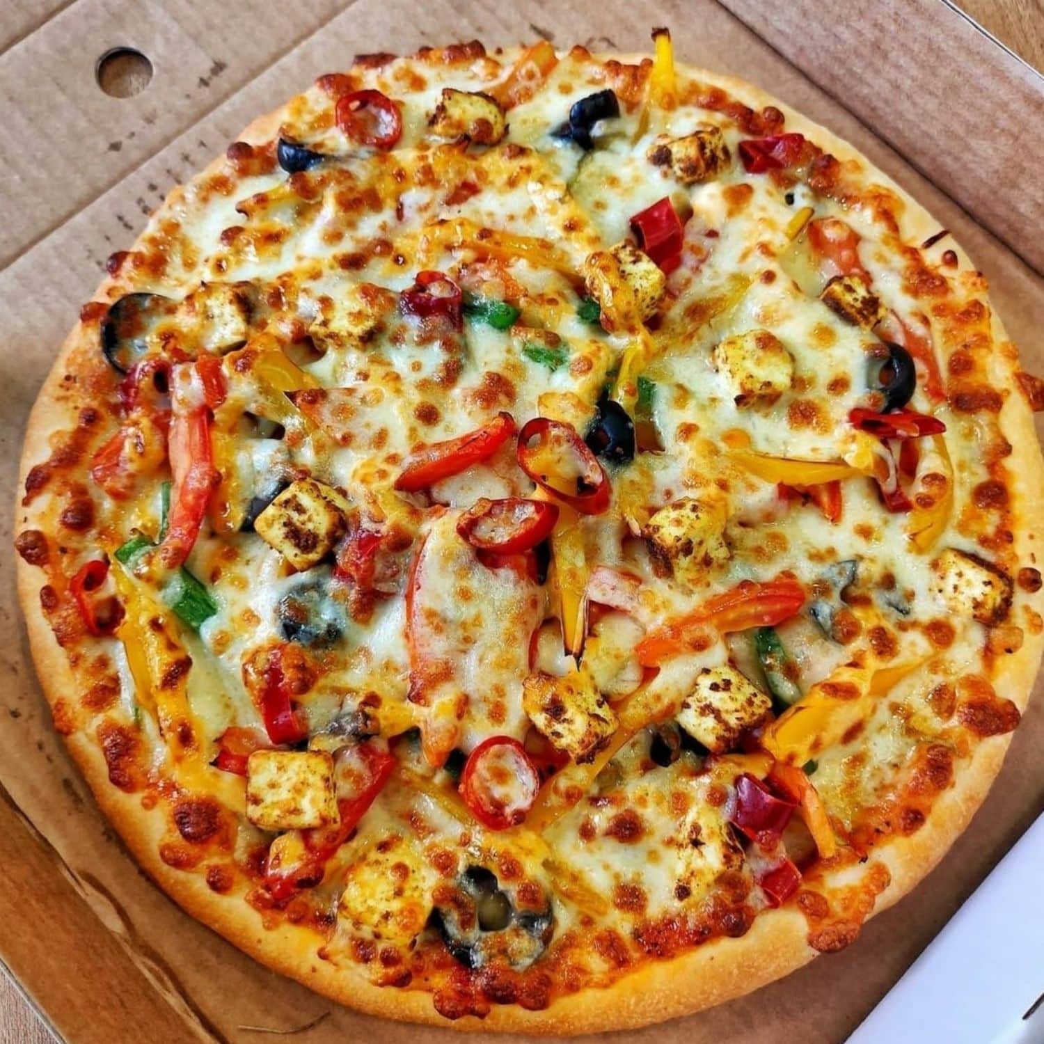 Unlimited Pizza In Vadodara