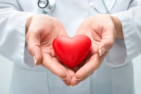 An Image of a doctor holding a heart in both his hands signifying the mango benefit for heart health