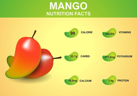 A Vector art describing nutritional benefits of mango in a fun and interesting way. The vector art has a vector art of mango and on the side are the benefits which are 99 calories, ABCEK Vitamins, 25.7 gram Carbs, 277.2 milligram Potassium, 16.5 milligram Calcium, 1.4 gram Protein.